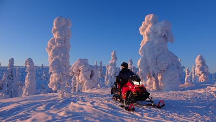 Levi sneeuwscootersafari-avontuur in de schemering